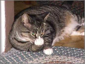 Kansainv�list� merkkikielt� heti aamusta