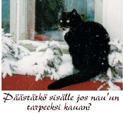 Loading Picture...
